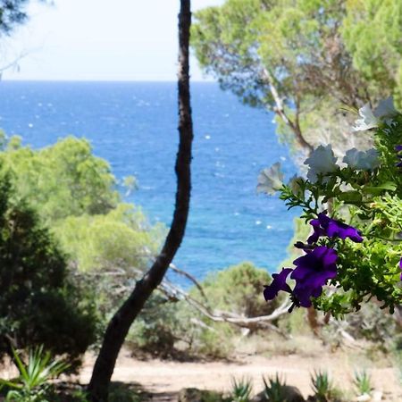 Villa Buonumore Porto Pino Kültér fotó