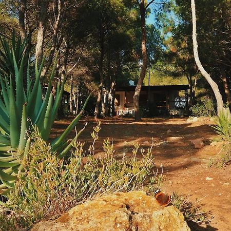 Villa Buonumore Porto Pino Kültér fotó