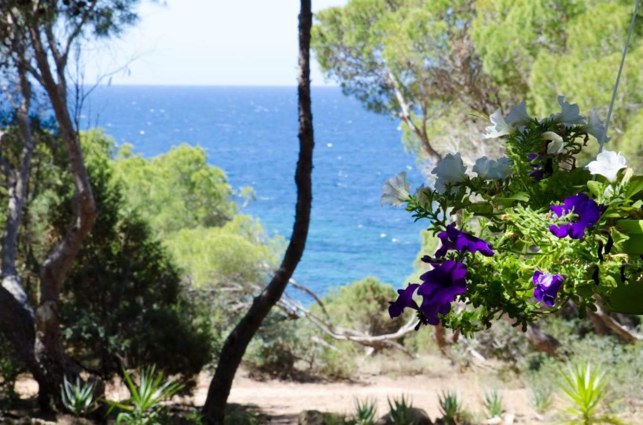 Villa Buonumore Porto Pino Kültér fotó