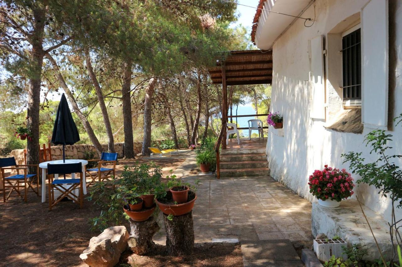 Villa Buonumore Porto Pino Kültér fotó