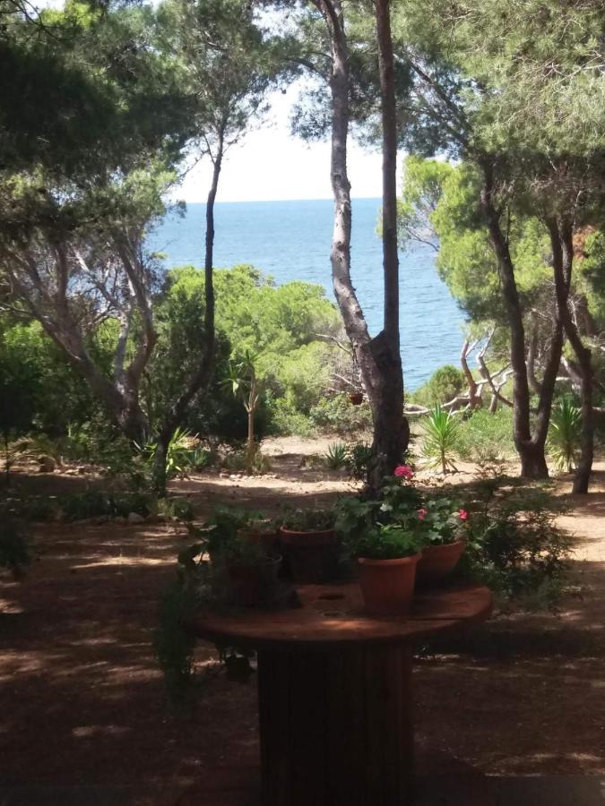 Villa Buonumore Porto Pino Kültér fotó