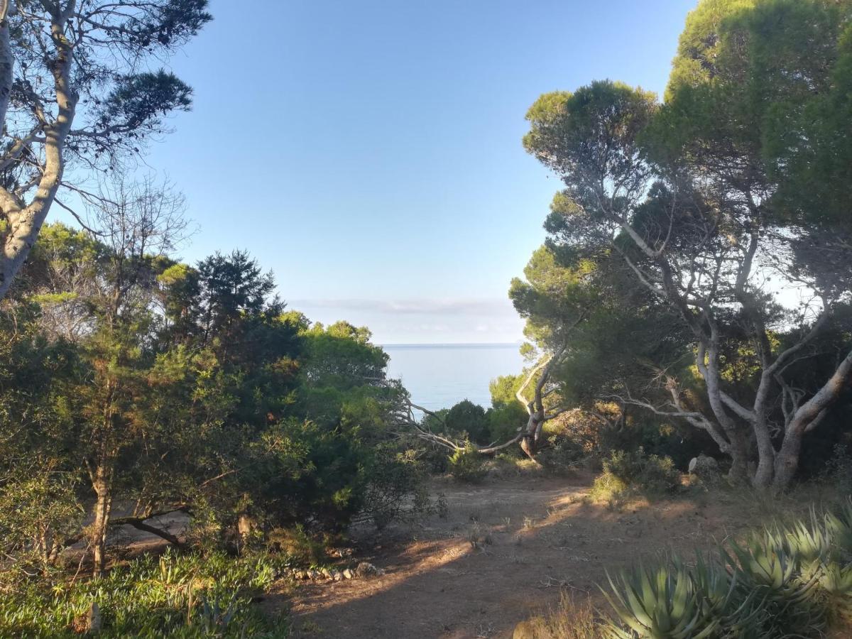 Villa Buonumore Porto Pino Kültér fotó