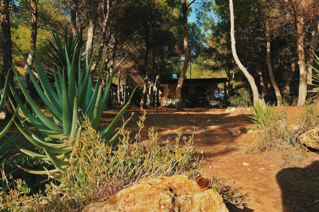 Villa Buonumore Porto Pino Kültér fotó